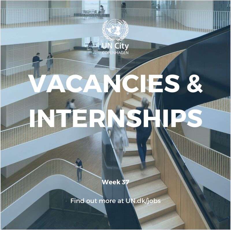 🌍 Explore UN City Job Vacancies and Internships by UNHCR, IOM, UNDP, UNFPA  and more– Apply Now!