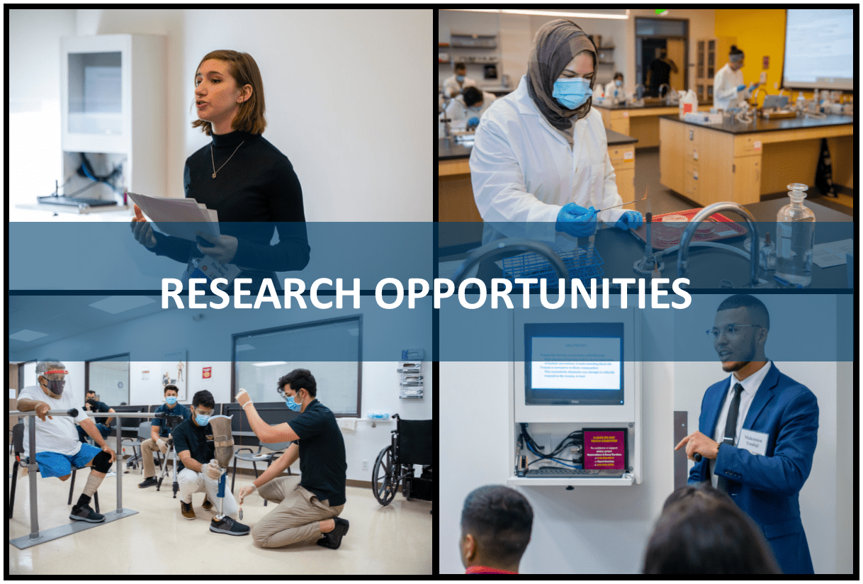 72 Global Research, Fellowship, Internship & Grant Opportunities for Students and Early Career Professionals (Apply Now!)