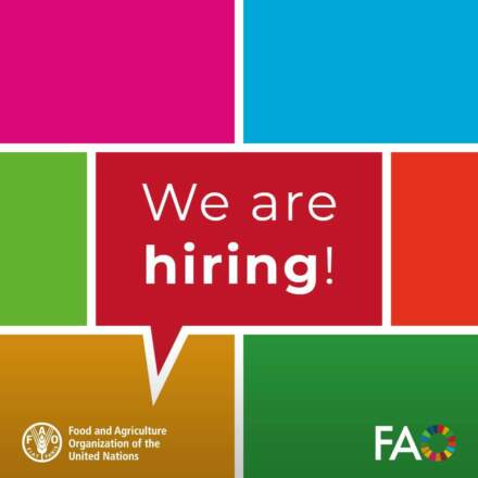 🌍 Work from Home with the United Nations: FAO Remote Job Opportunities Now Open!