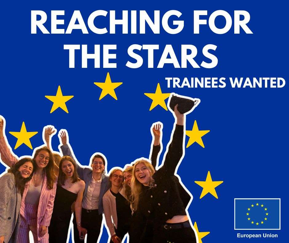 Funded traineeships for young graduates at the EU Delegation to the United Nations – Multiple sections