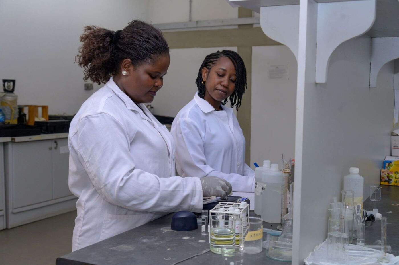 Call for Applications: 2026 AWARD Leadership Program for Emerging African Women in Agricultural Sciences