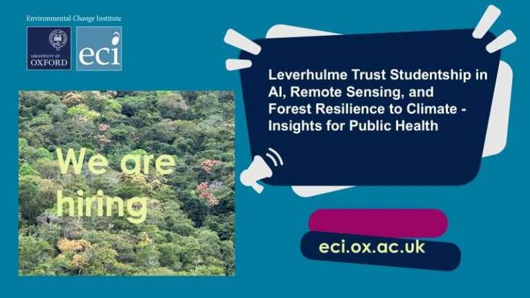 Fully Funded DPhil Studentship in AI, Remote Sensing, and Forest Resilience to Climate at the University of Oxford