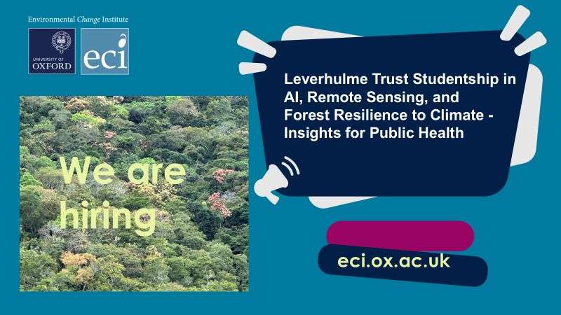 Fully Funded DPhil Studentship in AI, Remote Sensing, and Forest Resilience to Climate at the University of Oxford