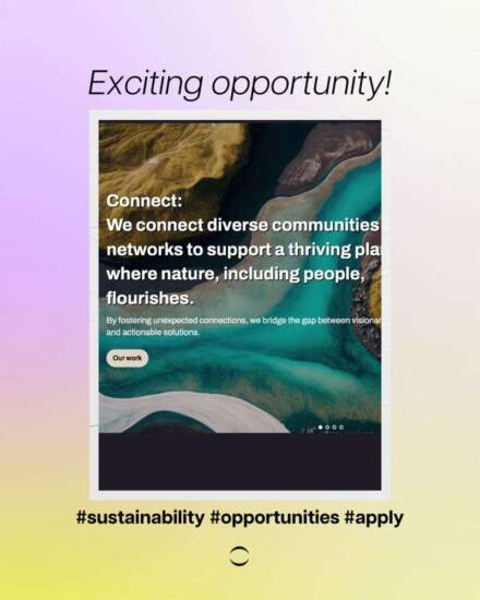 Sparks of Regeneration: An Invitation to Innovators, Disruptors & Change-Makers