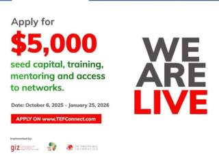 Applications Open: Investing in Young Businesses in Africa – Women Entrepreneurship for Africa (IYBA WE4A) Programme 2025