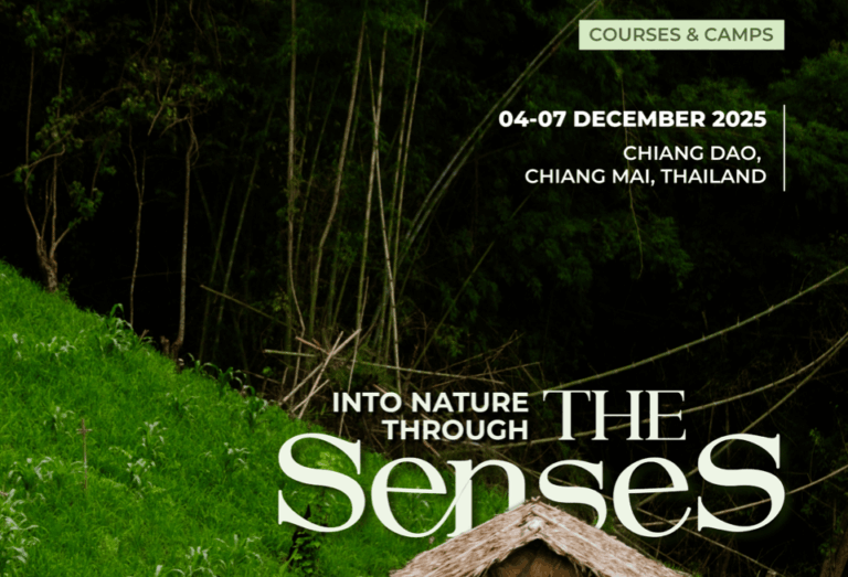 Into Nature Through the Senses