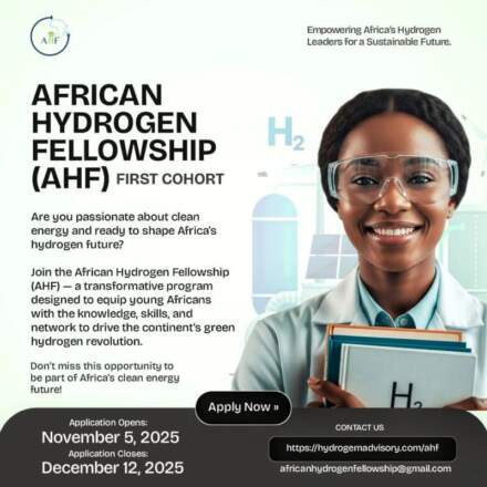 African Hydrogen Fellowship: Shaping Africa’s Green Energy Future
