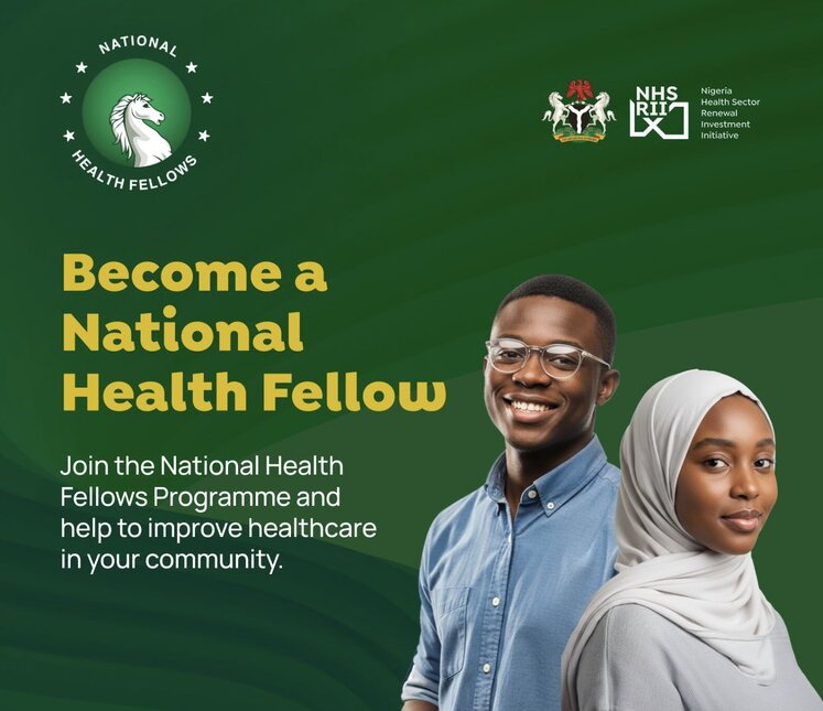 2025 National Health Fellows Programme (Nigeria)