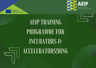 AEIP Training Programme for Incubators and Accelerators: Strengthening Innovation Across Africa and Europe