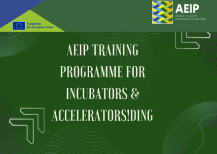AEIP Training Programme for Incubators and Accelerators: Strengthening Innovation Across Africa and Europe