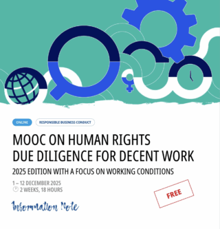 Human Rights Due Diligence for Decent Work: Free Online Course