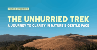 The Unhurried Trek: A Journey to Clarity in Nature’s Gentle Pace
