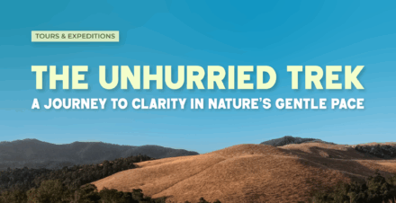 The Unhurried Trek: A Journey to Clarity in Nature’s Gentle Pace